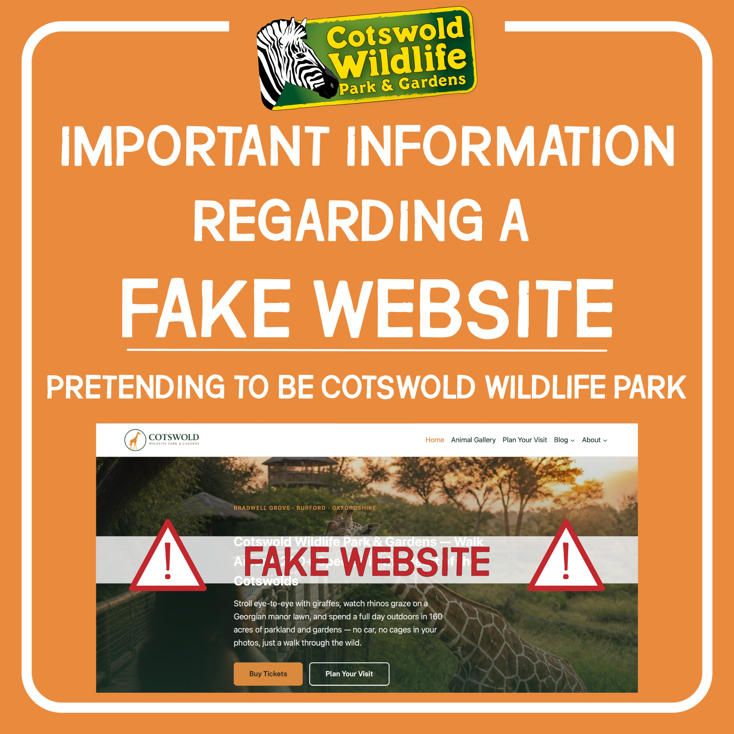 Fake Website