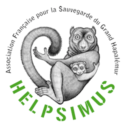 HELPSIMUS