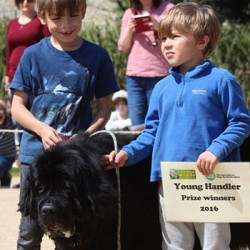 Young Handler class winners Freddy and Harvey with Elsie the Newfoundland