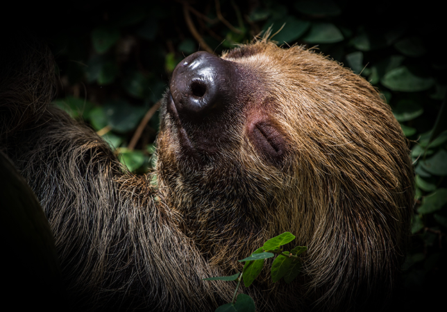 Cotswold Wildlife Park 2018 Photography Competition Winners Announced ...