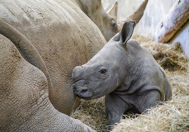 Marcus next to Nancy | Photo credit: Rebecca Louise