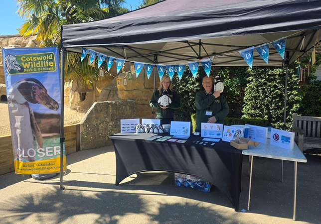 Penguin stall