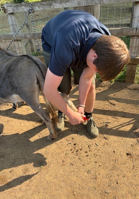 Cotswold Wildlife Park Keeper Academy
