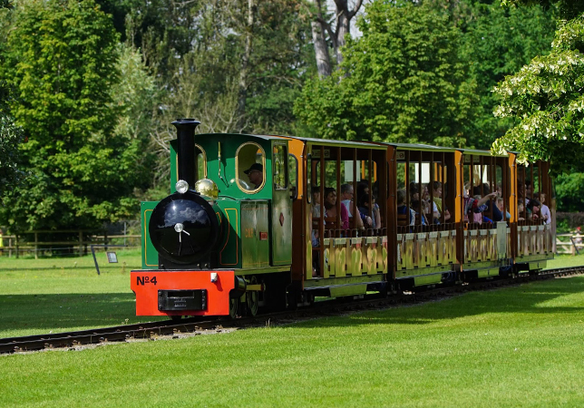 Bella the Train