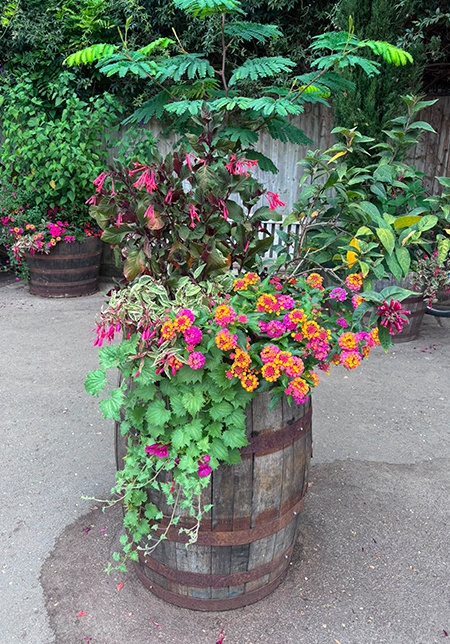 Cotswold Wildlife Park gardens