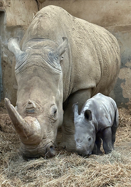 New mum Ruby with Mo