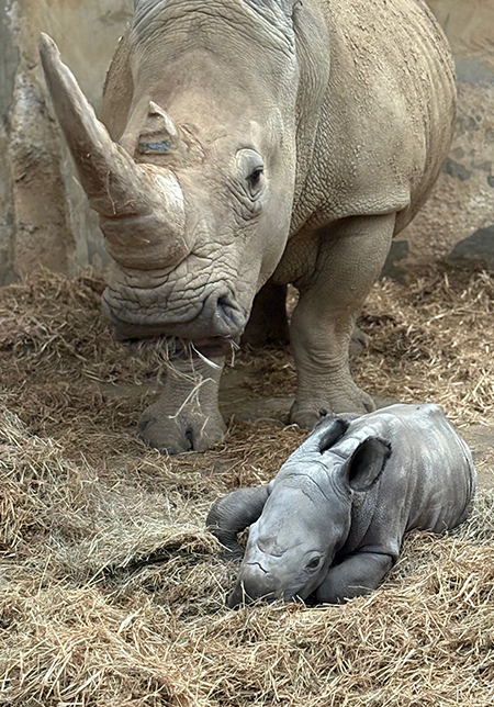 New mum Ruby with Mo