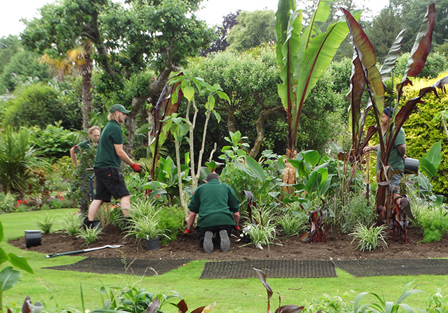 The gardens team working on the plant borders.