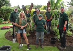 The gardens team working on the plant borders.