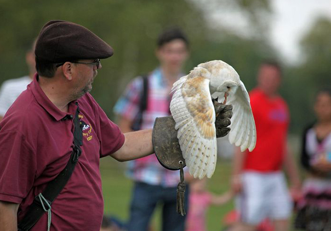 Cotswold Falconry Bird of Prey Centre at the Park. Photo credit: Rebecca Louise