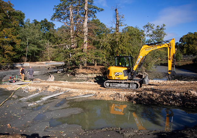 Digging around the lake