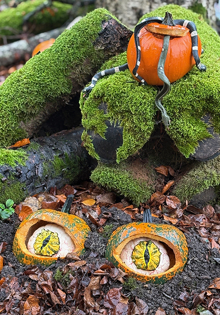 Pumpkin eyes at the Park