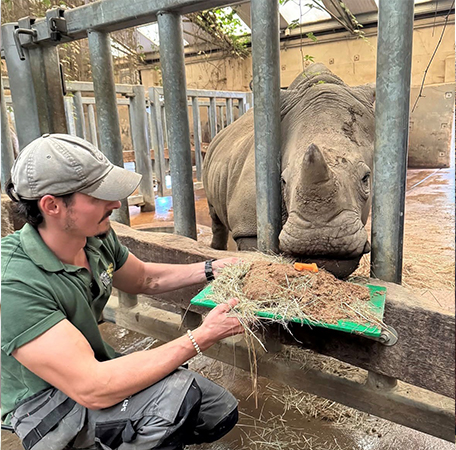 Rhino calf Markus’ first birthday